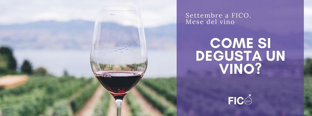 Come si degusta un vino?