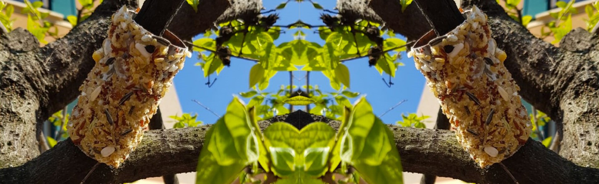 La didattica della natura – Laboratori con i bambini