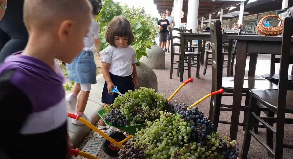 LIKE - Tutto ciò che piace - Autunno nel Parco da gustare