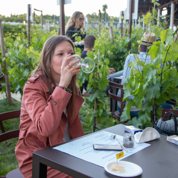 Grapevines