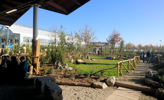 Truffle Garden