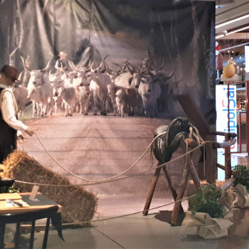 Hamburgheria Maremmana BIO